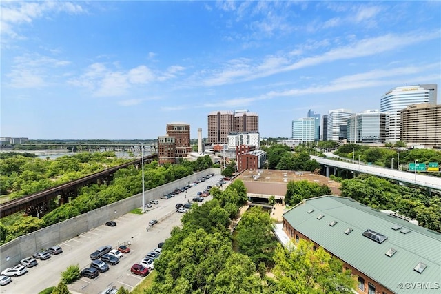 301 Virginia St Unit U1001, Richmond, VA 23219 - photo 19