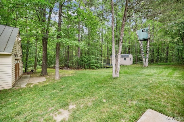 3631 Cannon Ridge Ct, Midlothian, VA 23113 - view of green lawn featuring a storage unit