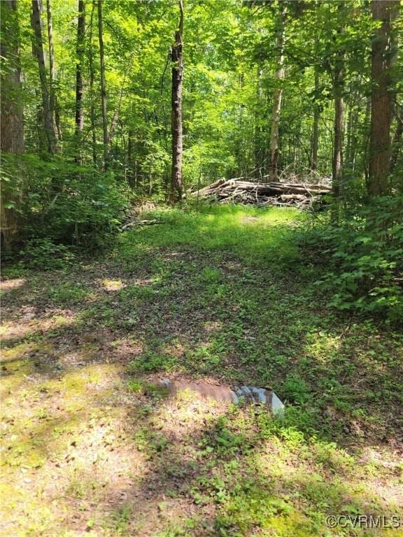 000 Ellis Dr, Maidens, VA 23102 - photo 1