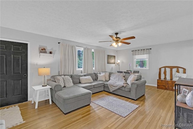 7284 Farinholt St, Gloucester, VA 23061 - living area with light wood-style floors, ceiling fan, and a textured ceiling