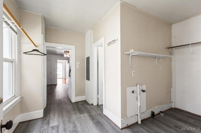 224 Hamilton Ave, Colonial Heights, VA 23834 - laundry room with wood finished floors, ornamental molding, and electric panel