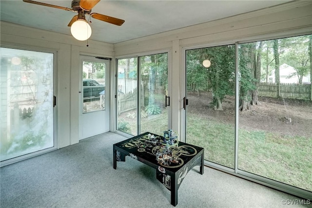 813 Spirea Rd, North Chesterfield, VA 23236 - sunroom with a ceiling fan and carpet flooring