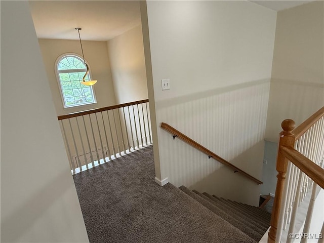 14005 Cooperton Cir, Chester, VA 23836 - stairs with carpet and baseboards