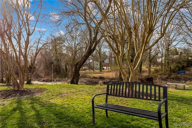21 Rock Garden Ln, Henrico, VA 23228 - view of green lawn