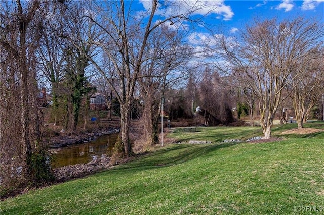21 Rock Garden Ln, Henrico, VA 23228 - view of green lawn
