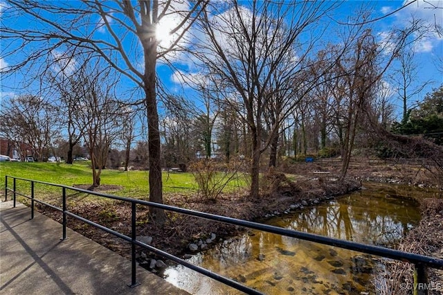 21 Rock Garden Ln, Henrico, VA 23228 - view of yard