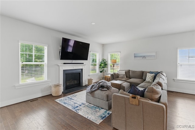 6906 Stafford Park Dr, Moseley, VA 23120 - living area featuring plenty of natural light, a fireplace with flush hearth, and wood finished floors