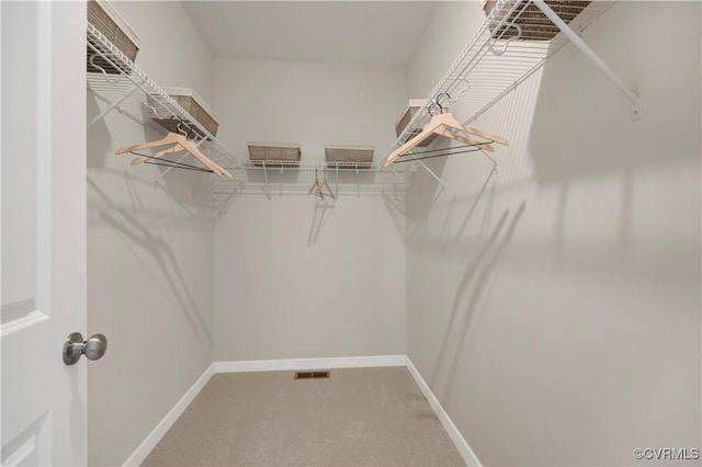 15707 Greenhart Dr, Chesterfield, VA 23832 - walk in closet with carpet flooring