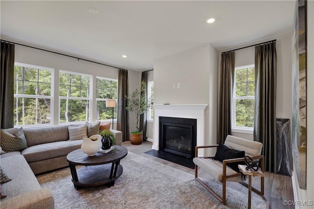 15707 Greenhart Dr, Chesterfield, VA 23832 - living area with wood finished floors, a fireplace with flush hearth, and recessed lighting