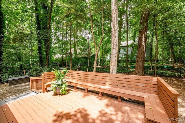 3111 Three Bridges Rd, Midlothian, VA 23112 - view of deck