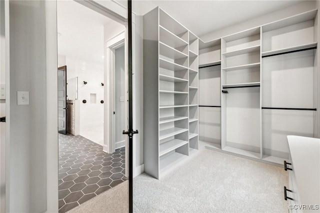 5-6 Pocahontas Trl, Providence Forge, VA 23089 - view of spacious closet