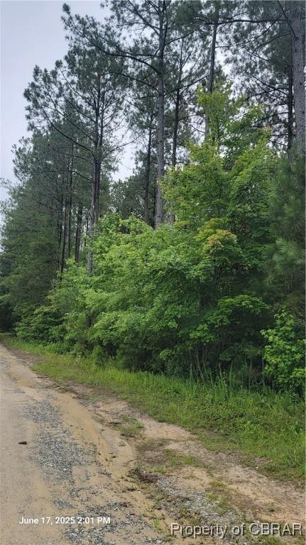 0 Buchanan Ln, Gloucester, VA 23061 - photo 1
