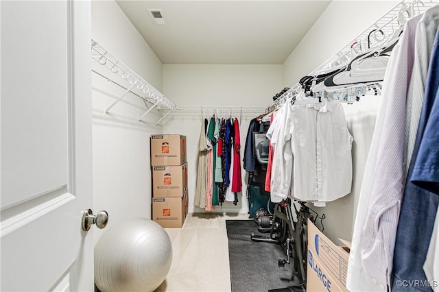 14812 Diamond Creek Ter, Chesterfield, VA 23113 - spacious closet with carpet flooring