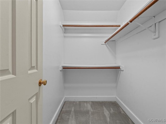 9313 Owl Trace Ct, Chesterfield, VA 23838 - walk in closet featuring carpet