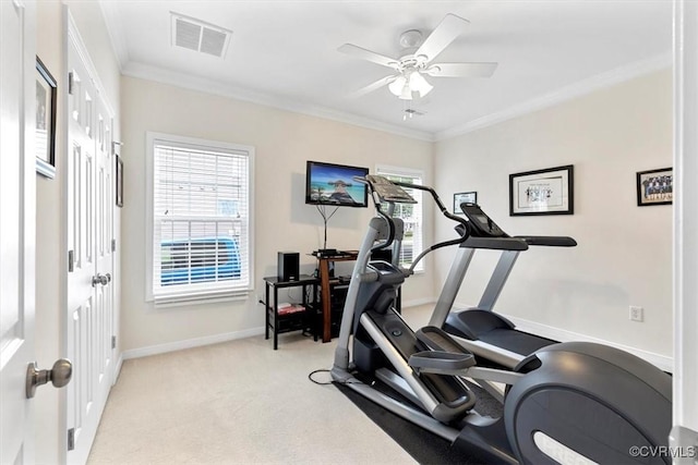 206 Twin Crest Dr, Chesterfield, VA 23236 - workout room with ceiling fan, ornamental molding, and light carpet