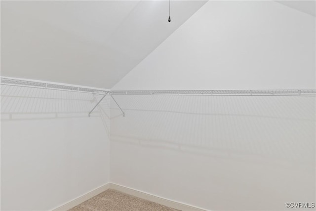 13511 W Salisbury Rd, Chesterfield, VA 23113 - walk in closet with lofted ceiling and light colored carpet