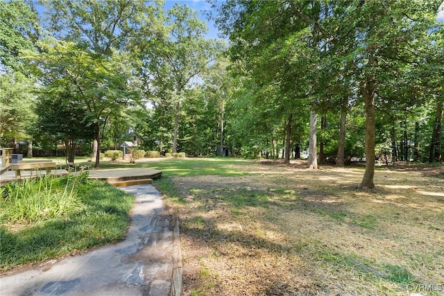 13511 W Salisbury Rd, Chesterfield, VA 23113 - view of yard