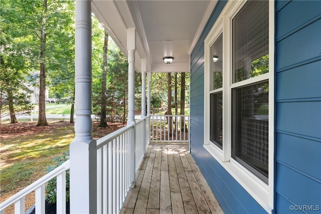14106 Pensive Pl, Midlothian, VA 23112 - view of porch