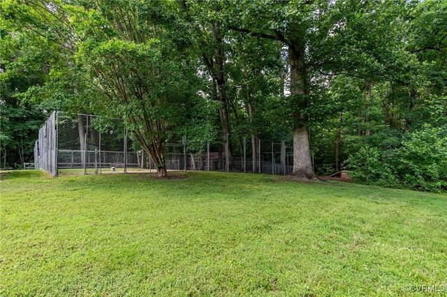 12900 Spring Run Rd, Midlothian, VA 23112 - view of yard