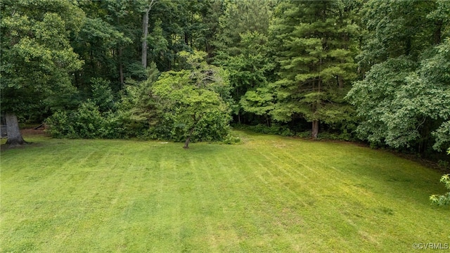 12900 Spring Run Rd, Midlothian, VA 23112 - view of green lawn with a view of trees