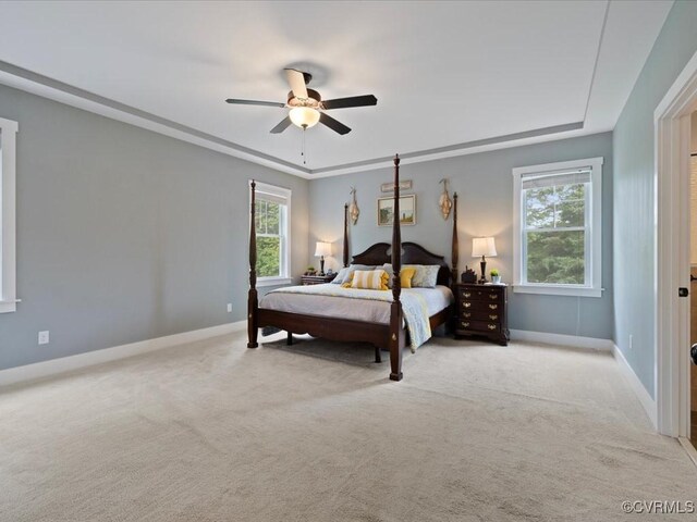 1130 Sparrows Ln, Powhatan, VA 23139 - bedroom featuring a tray ceiling, carpet floors, and a ceiling fan
