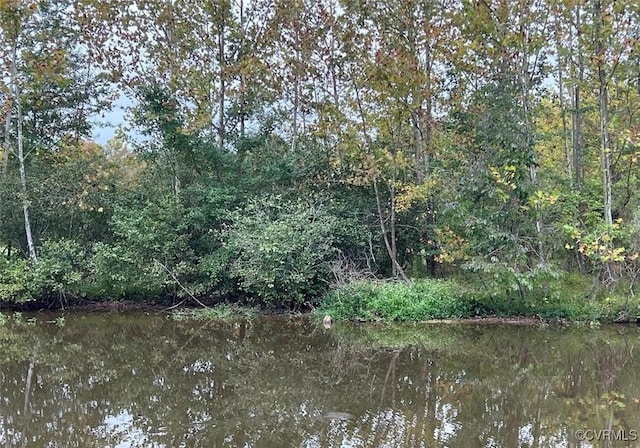 26700 Daniels Pt, Orange, VA 22567 - photo 47