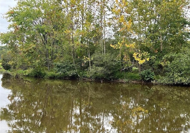 26700 Daniels Pt, Orange, VA 22567 - photo 49