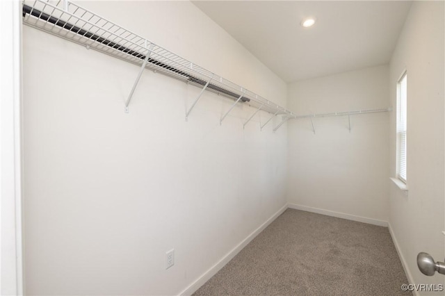 1712 Binford Ct, Cobbs Creek, VA 23223 - spacious closet featuring light colored carpet