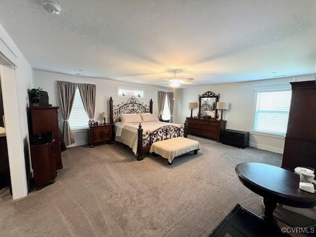 9377 Magnolia Blossom Rd, Ashland, VA 23005 - photo 35