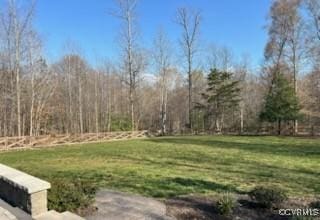 9377 Magnolia Blossom Rd, Ashland, VA 23005 - photo 46