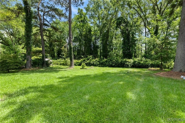 1708 Hollandale Rd, Henrico, VA 23238 - view of green lawn