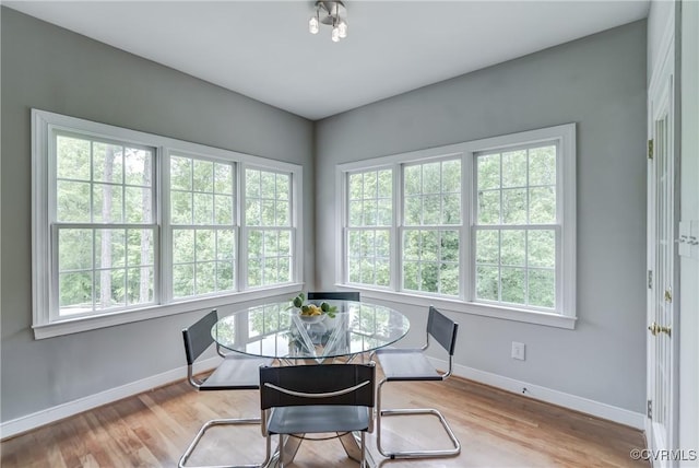 5501 Pine Needles Ter, Providence Forge, VA 23140 - dining area featuring baseboards and wood finished floors