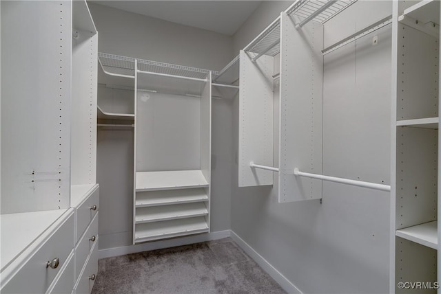 5501 Pine Needles Ter, Providence Forge, VA 23140 - spacious closet with carpet floors and attic access