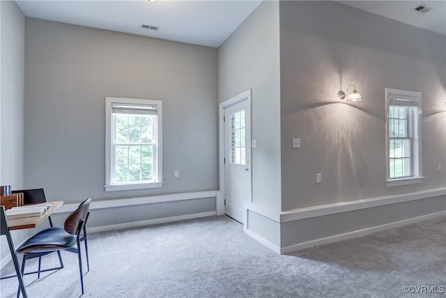 5501 Pine Needles Ter, Providence Forge, VA 23140 - unfurnished office featuring carpet floors and plenty of natural light