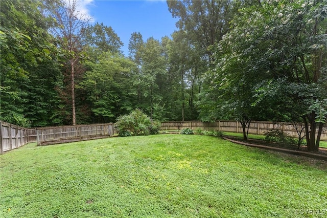 2065 Philbunny Ct, Mechanicsville, VA 23111 - photo 47