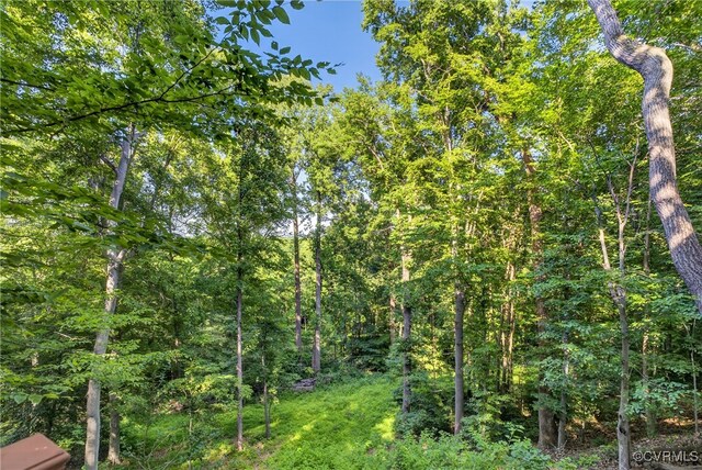 8327 Fulham Ct, Richmond, VA 23227 - view of tree filled area
