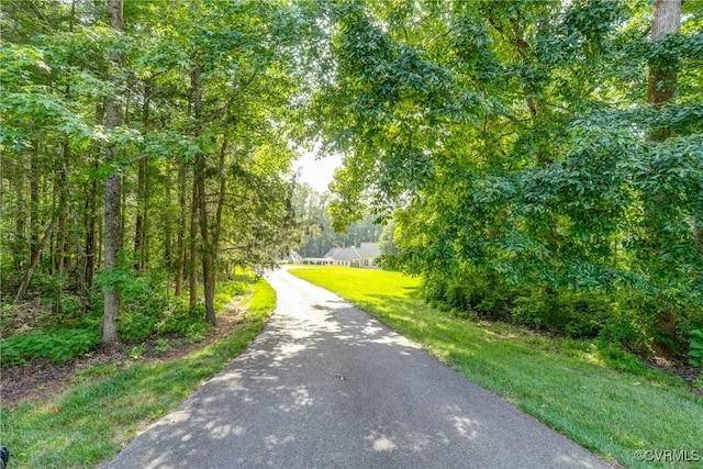 800 Merchant Lee Ct, Manakin Sabot, VA 23103 - photo 46