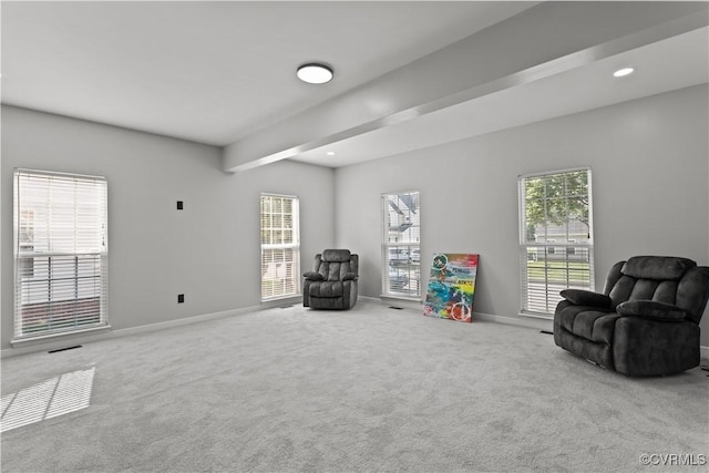 1428 Village Field Dr, Henrico, VA 23231 - photo 18