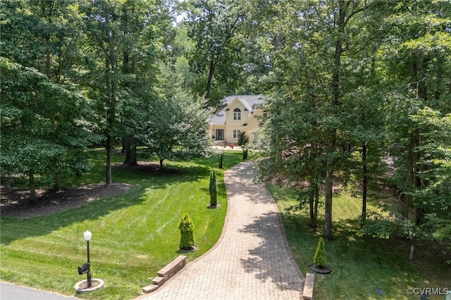 14221 Sylvan Ridge Rd, Chesterfield, VA 23838 - view of home's community with a lawn and decorative driveway