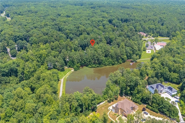 14221 Sylvan Ridge Rd, Chesterfield, VA 23838 - aerial view of property's location with a heavily wooded area and a large body of water