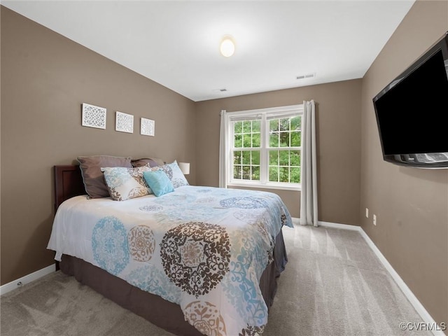 12306 Hollow Oak Ter, Midlothian, VA 23112 - bedroom with light colored carpet and baseboards