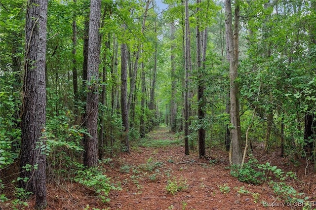 5AC Paynes Landing Rd, Gloucester, VA 23061 - photo 2