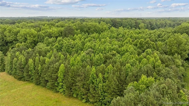 5AC Paynes Landing Rd, Gloucester, VA 23061 - photo 6