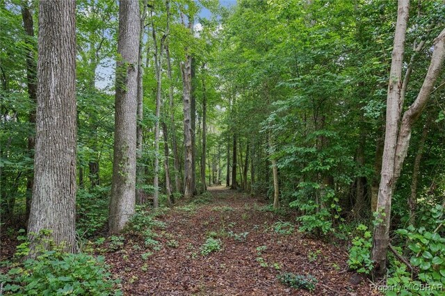 5AC Paynes Landing Rd, Gloucester, VA 23061 - photo 25