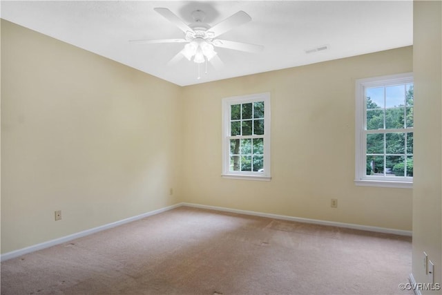 2721 Linden Ln, Williamsburg, VA 23185 - photo 37