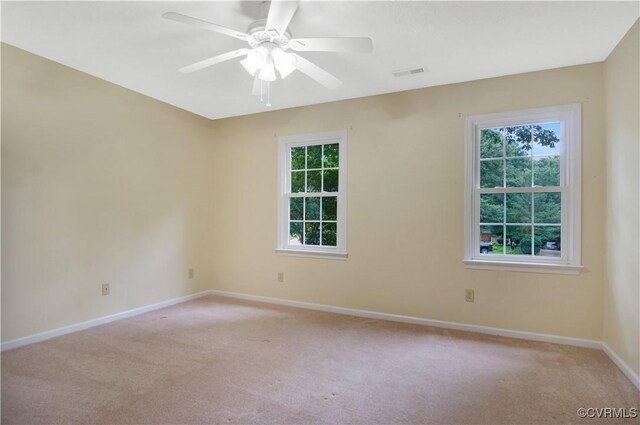2721 Linden Ln, Williamsburg, VA 23185 - photo 39