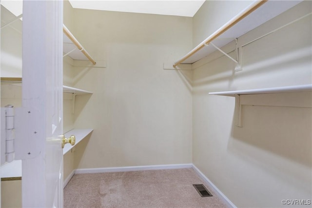 2721 Linden Ln, Williamsburg, VA 23185 - photo 20