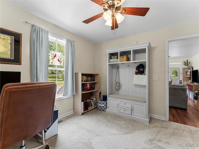 24831 St James Rd, Jetersville, VA 23083 - photo 31