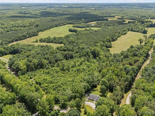 24831 St James Rd, Jetersville, VA 23083 - photo 43