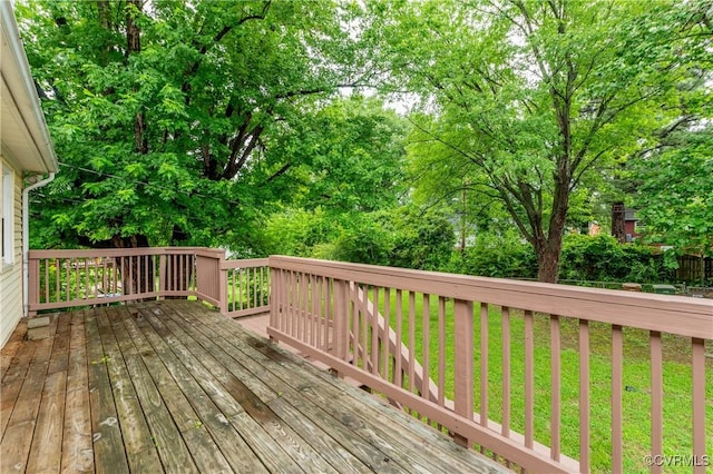 5636 Forest Hill Ave, Richmond, VA 23225 - photo 26